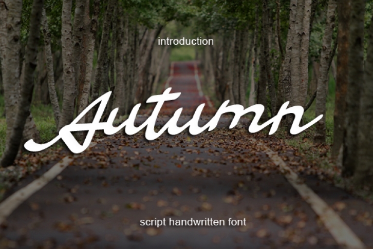 Autumn Font Download