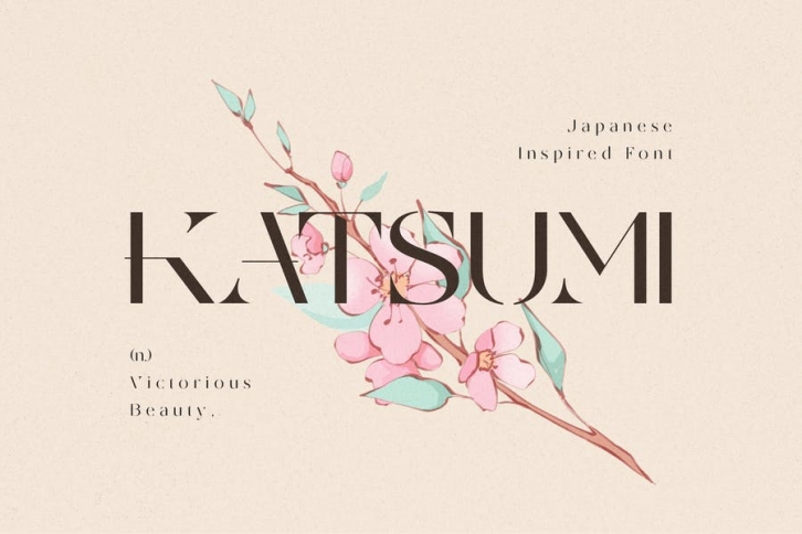 Modern Japanese Font Font Download