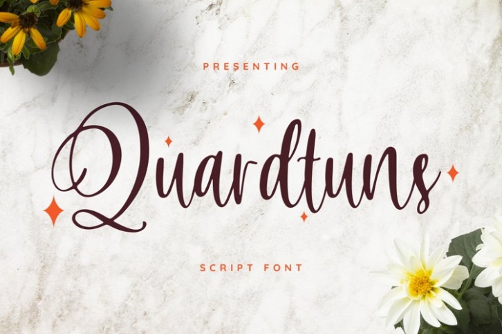 Quardtuns Font Download