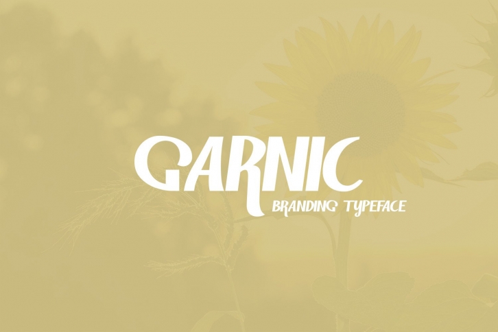 Garnic Font Download