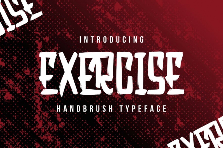 DS Exercise – Handbrush Typeface Font Download