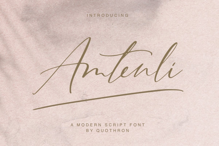 Amtenli script Font Download
