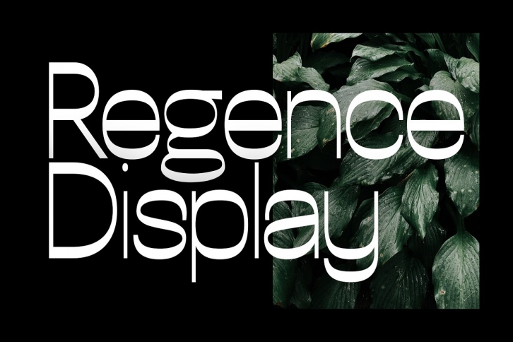 Regence Display typefaces + webfonts Font Download