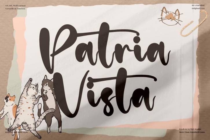 Patria Vista Beautiful Script LS Font Download