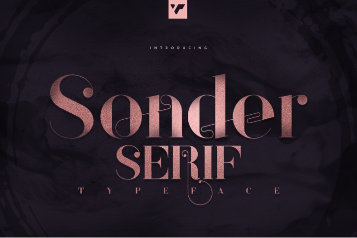 Sonder Serif Typeface - 5 weights Font Download