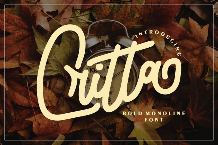 Critta | Bold Monoline Font Font Download