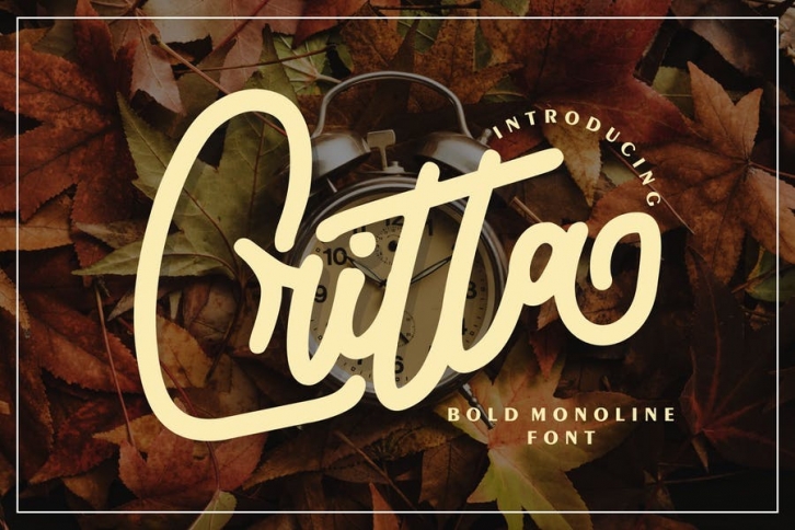 Critta | Bold Monoline Font Font Download