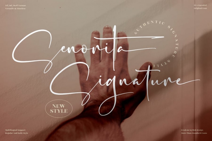 Senorita Signature Font LS Font Download