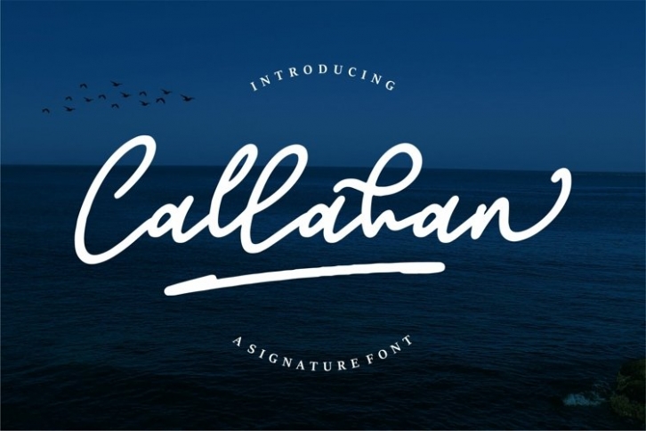 Callahan Font Download