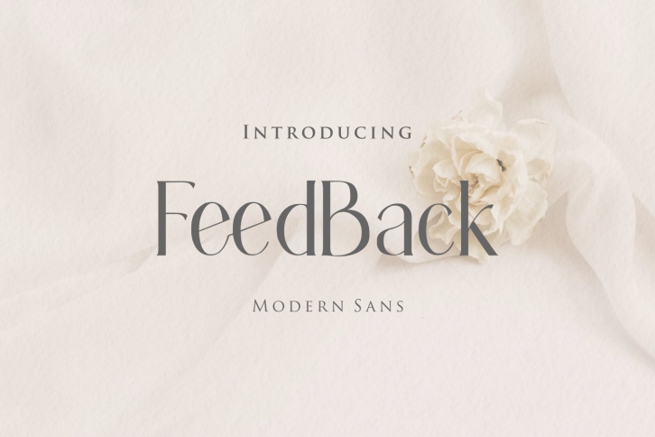 Feedback Font Download