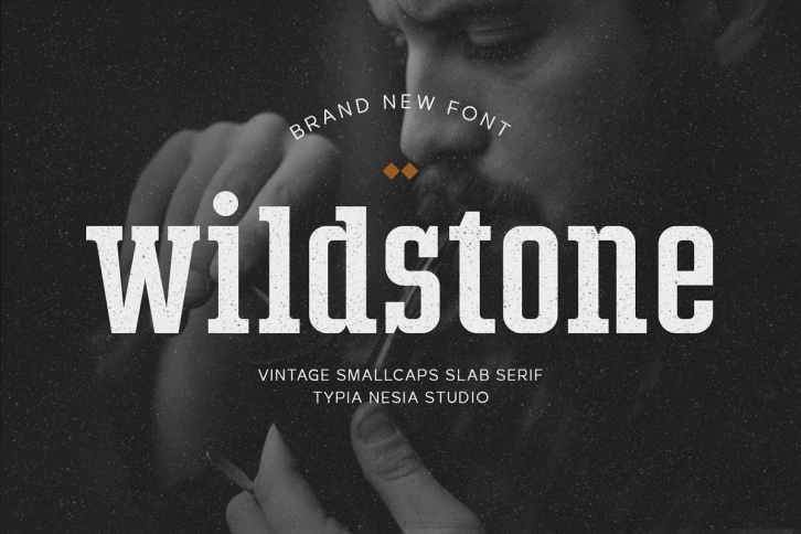 Wildstone Slab Font Download