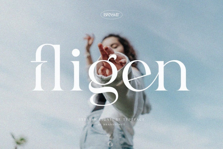 Fligen - Stylish Serif Font Download