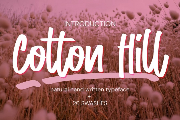 Cotton Hill - Natural Hand Written Typeface Font Download