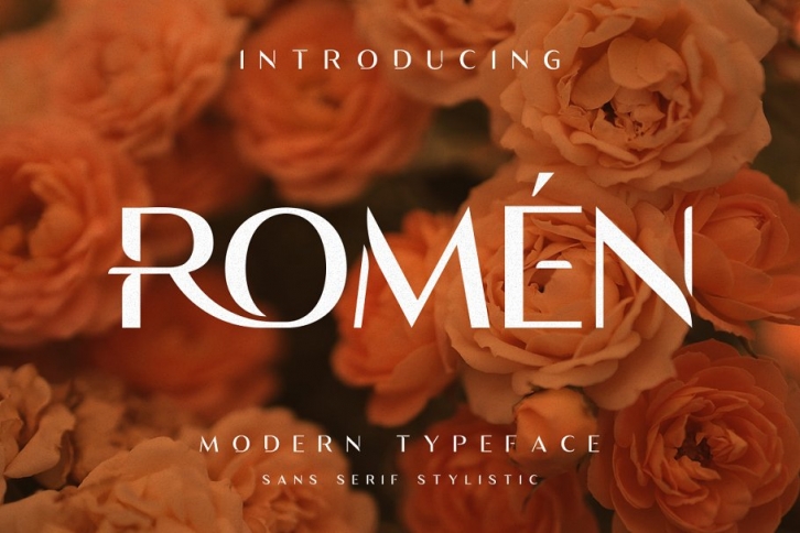 Romen Display Modern Typeface Font Download