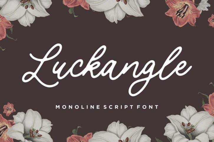 Luckangle Script Font YH Font Download