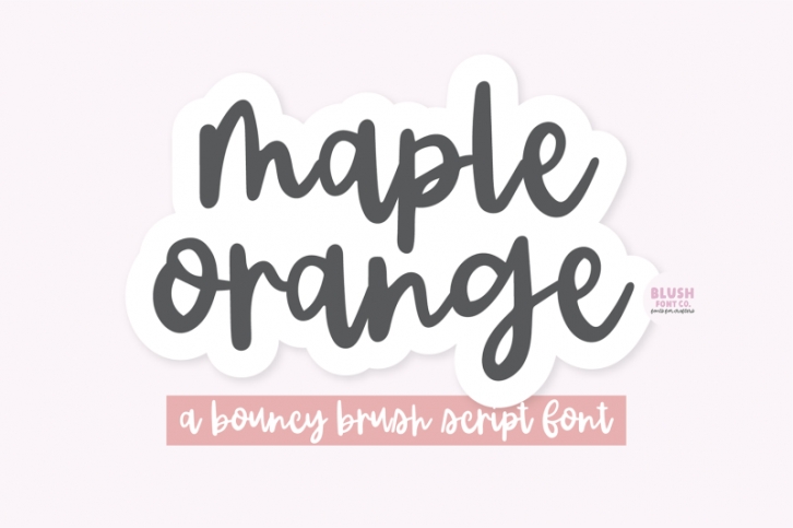 MAPLE ORANGE Brush Script Font Font Download