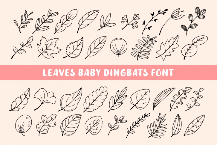Leaves Baby Font Download