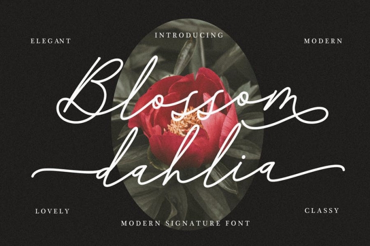 Blossom Dahlia Signature Font Download