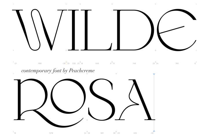 Wilde Rosa Display Font Download