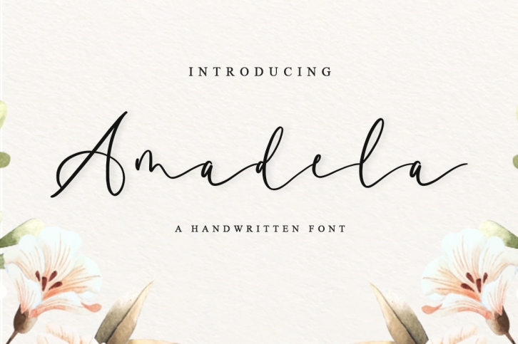 Amadela Font Download