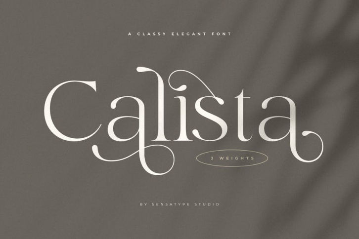 Calista - Classy Elegant Font Font Download