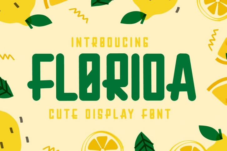 Florida - Display Font Font Download
