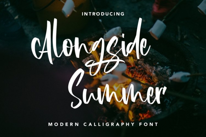 Alongside Summer Font Download