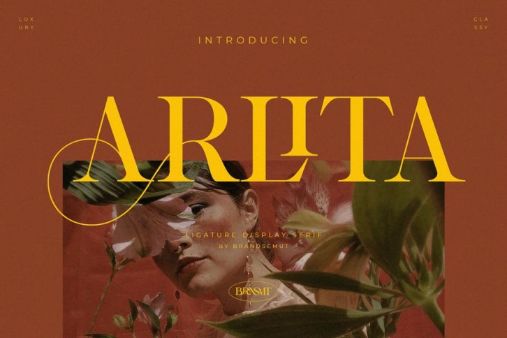 Arlita – Unique Ligature Font Font Download
