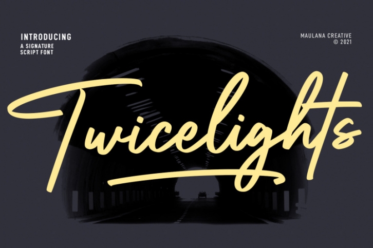 Twicelights Signature Script Font Font Download