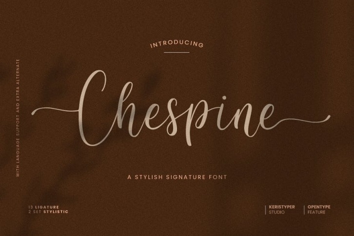 Chespine Stylish Signature Font Font Download