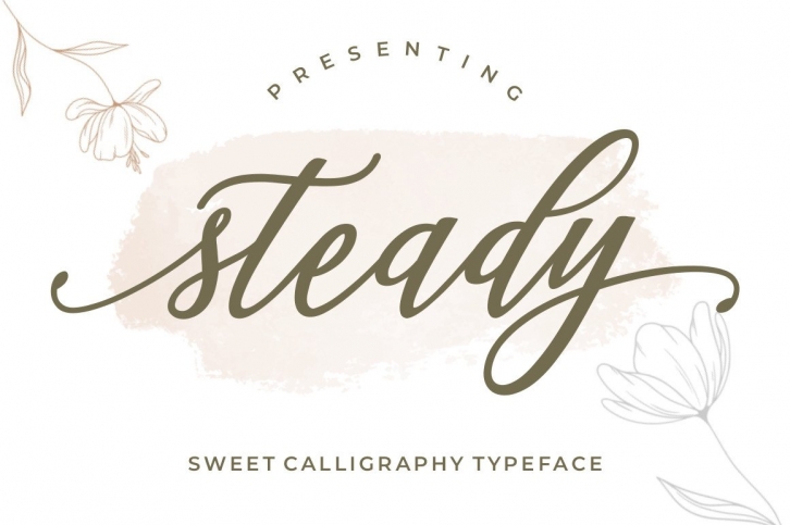 Steady Font Download