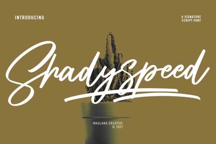 Shadyspeed Script Font Font Download