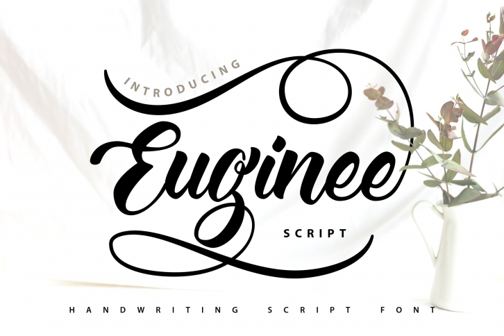 Euginee | Handwriting Script Font Font Download