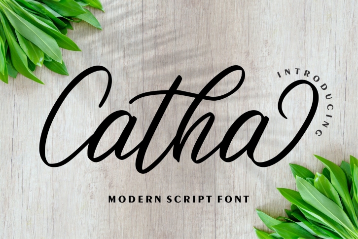 Catha Font Download