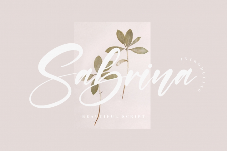 Sabrina Font Download