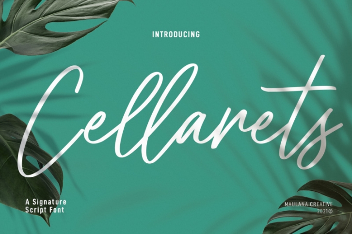 Cellarets Signature Script Font Font Download