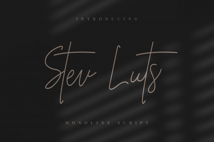 Stev Luts Font Download