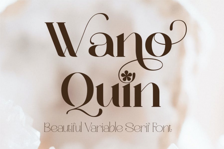 Wano Quin Elegant Serif - 9 Font Font Download
