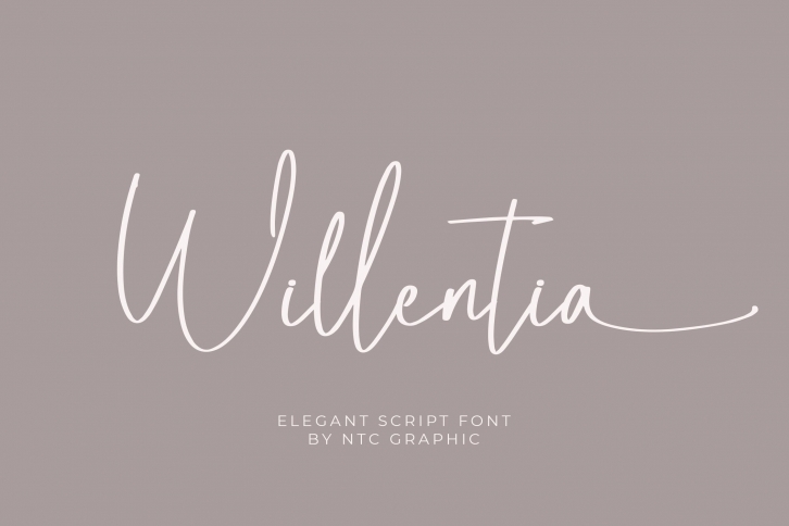 Willentia Font Download