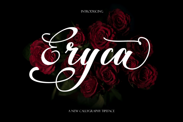 Eryca Font Download