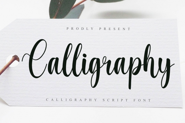 Calligraphy Font Download