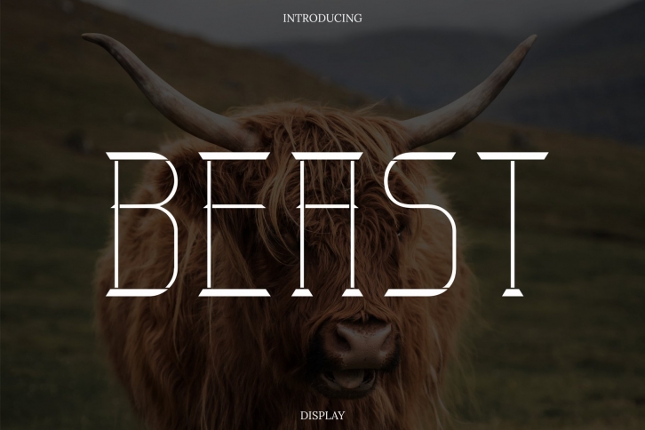 Beast Modern Display Font Download