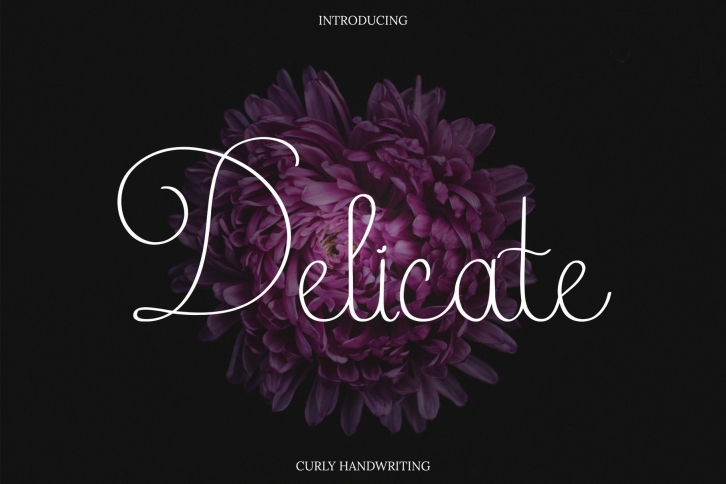 Delicate Curly Hand Writing Font Download