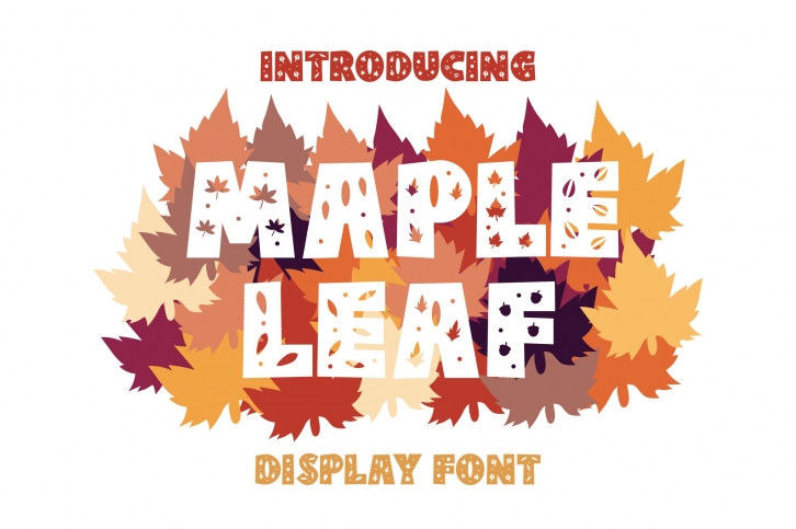 Maple Leaf Font Download