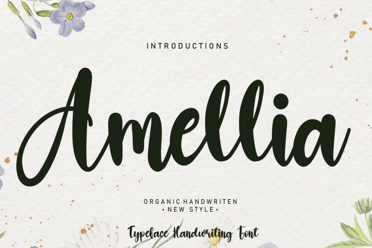 Amellia Font Download