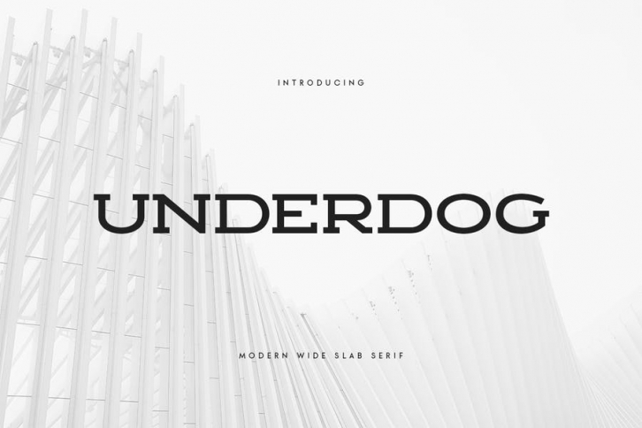 UNDERDOG - Modern Wide Slab Serif Font Download