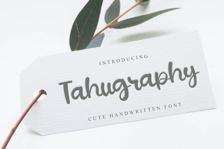 Tahugraphy Font Download