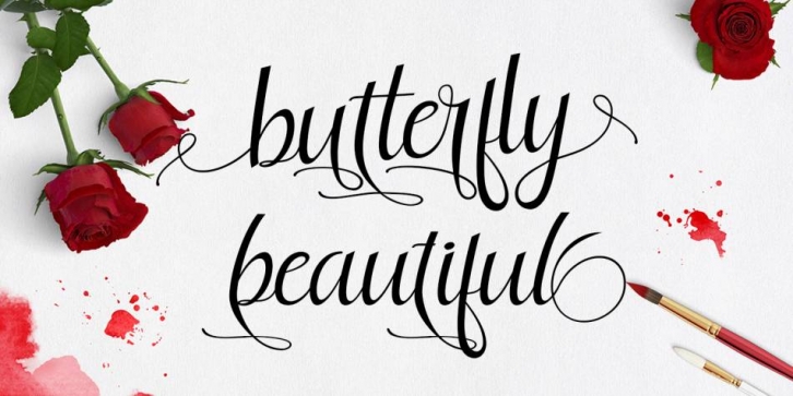 Butterfly Beautiful Font Download