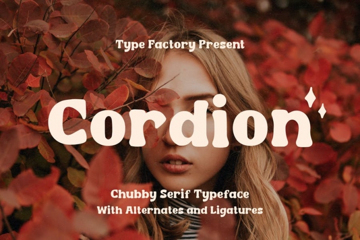 Cordion - Chubby Serif Typeface Font Download