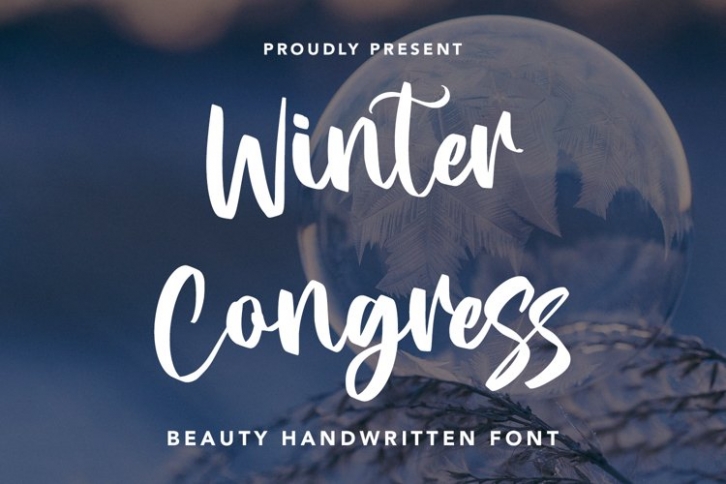 Winter Congress Font Download